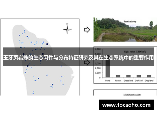 玉牙页岩蛛的生态习性与分布特征研究及其在生态系统中的重要作用